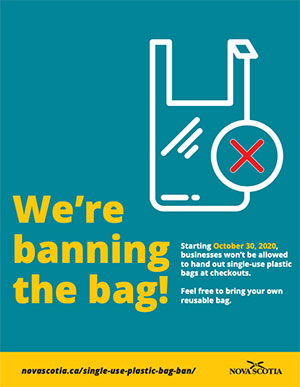 were banning the bag poster