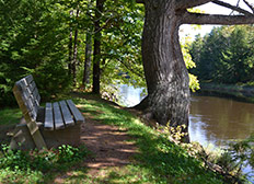 Stewiacke River Park