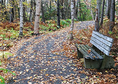 Nelson Memorial Park Trails
